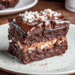 Mississippi Mud Cake